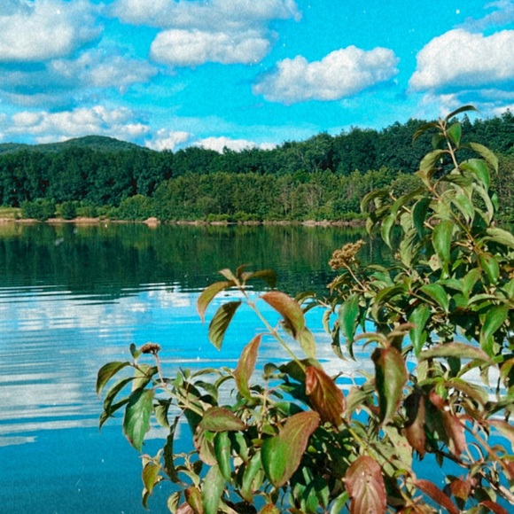 Meet your Posher, Lauren - Picture 4 of 4